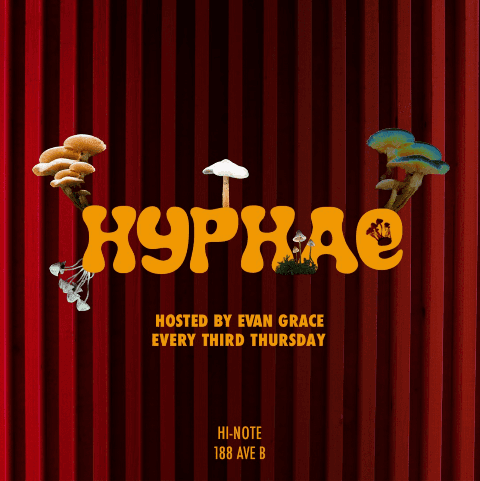 Hyphae 013